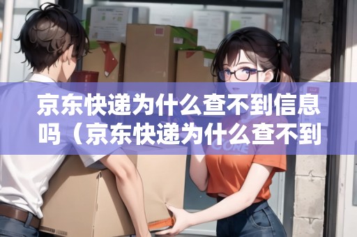 京東快遞查不到物流信息？服務器租賃或許是關(guān)鍵原因