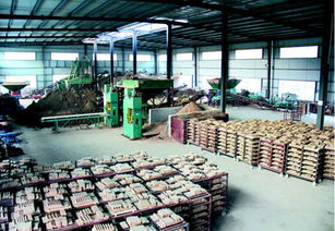 通江福德源陶瓷廠建成投產(chǎn)，投資管理助力地方經(jīng)濟，新增就業(yè)崗位200個